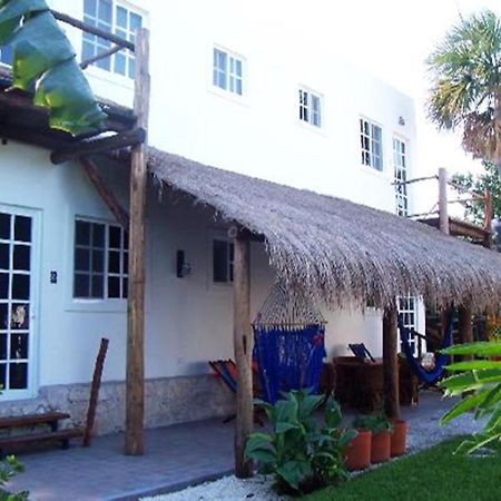 Villa Escondida Guest House Cozumel Downtown Zewnętrze zdjęcie