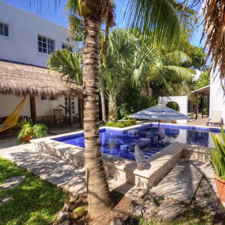 Villa Escondida Guest House Cozumel Downtown Zewnętrze zdjęcie