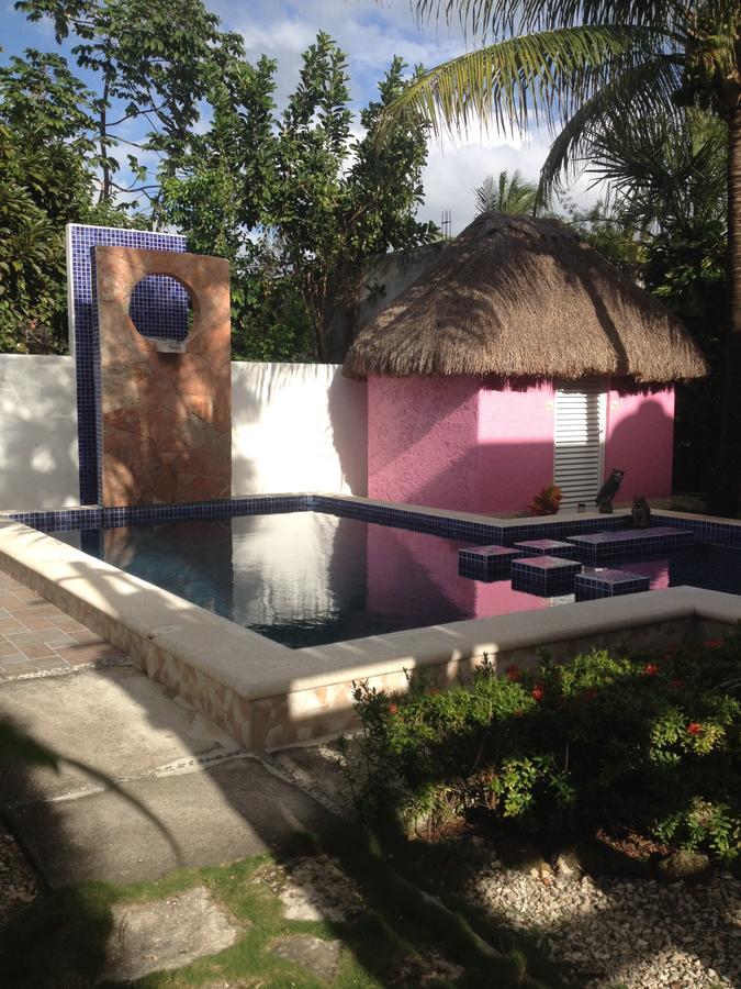 Villa Escondida Guest House Cozumel Downtown Zewnętrze zdjęcie